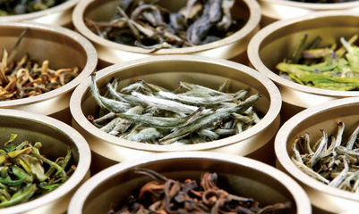 杜國楹 以創(chuàng)新重塑品牌認知，憑品質(zhì)成就茶葉價值